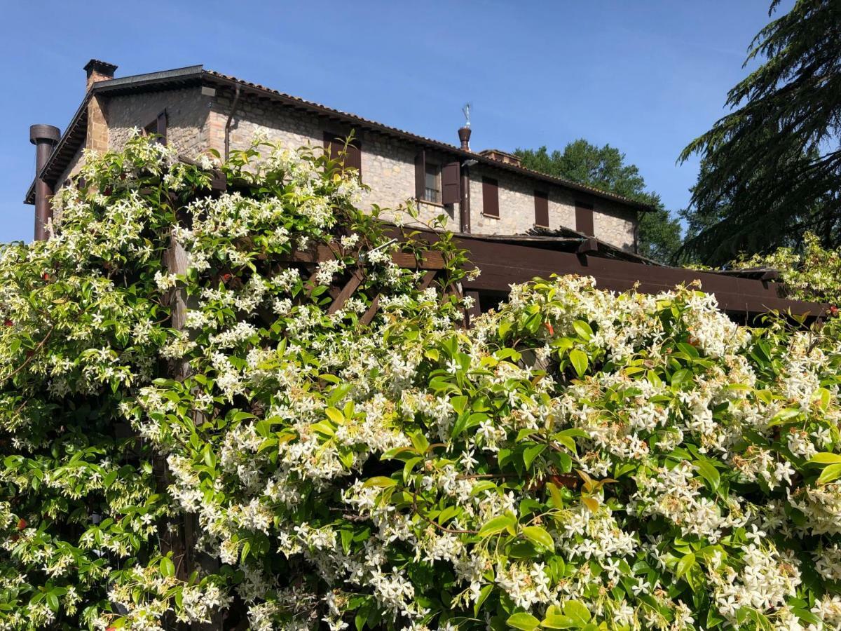 Agriturismo Beata Vanna Villa Fabro Exterior photo